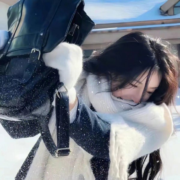 披荆斩棘第五季